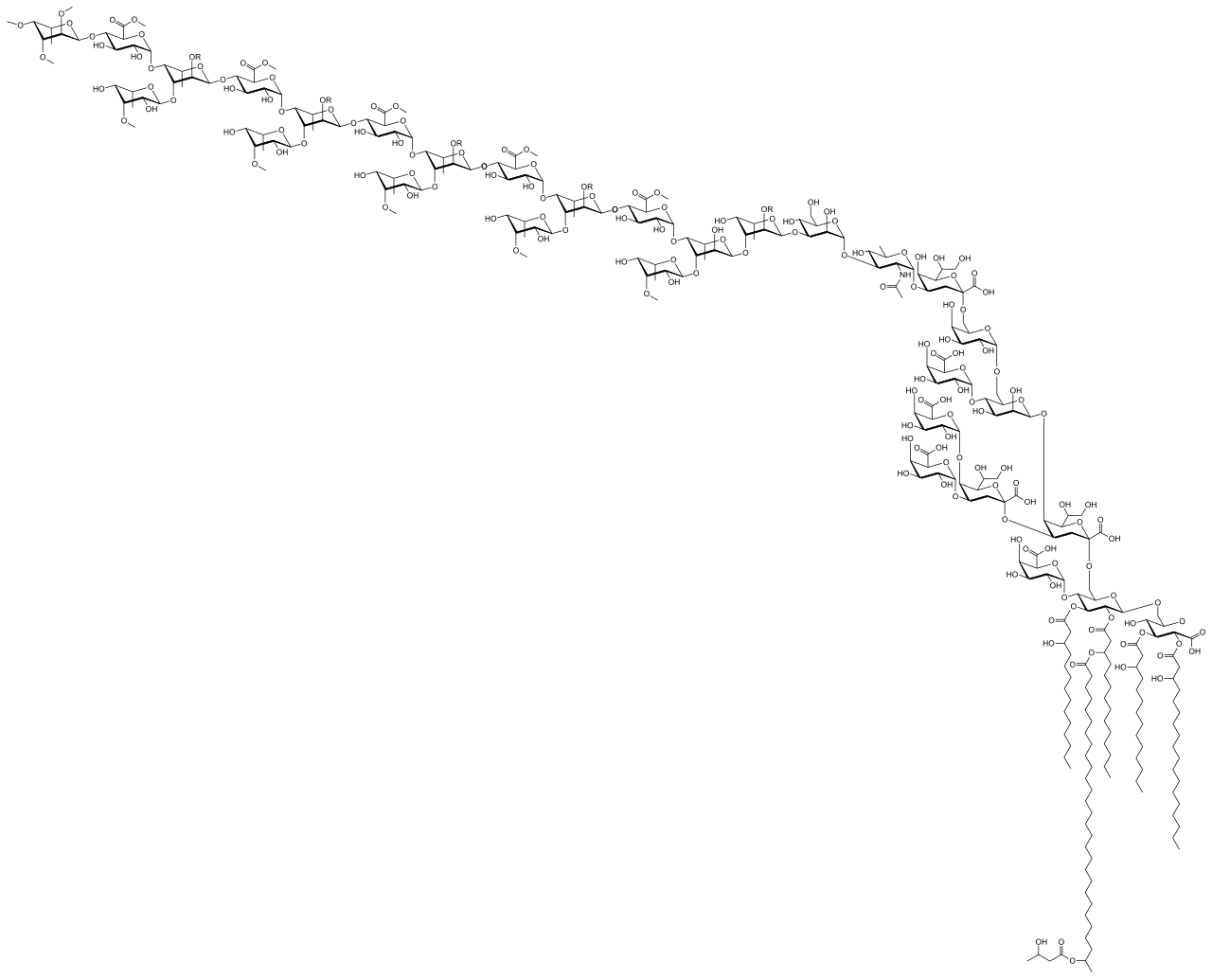 Lipopolysaccharide
