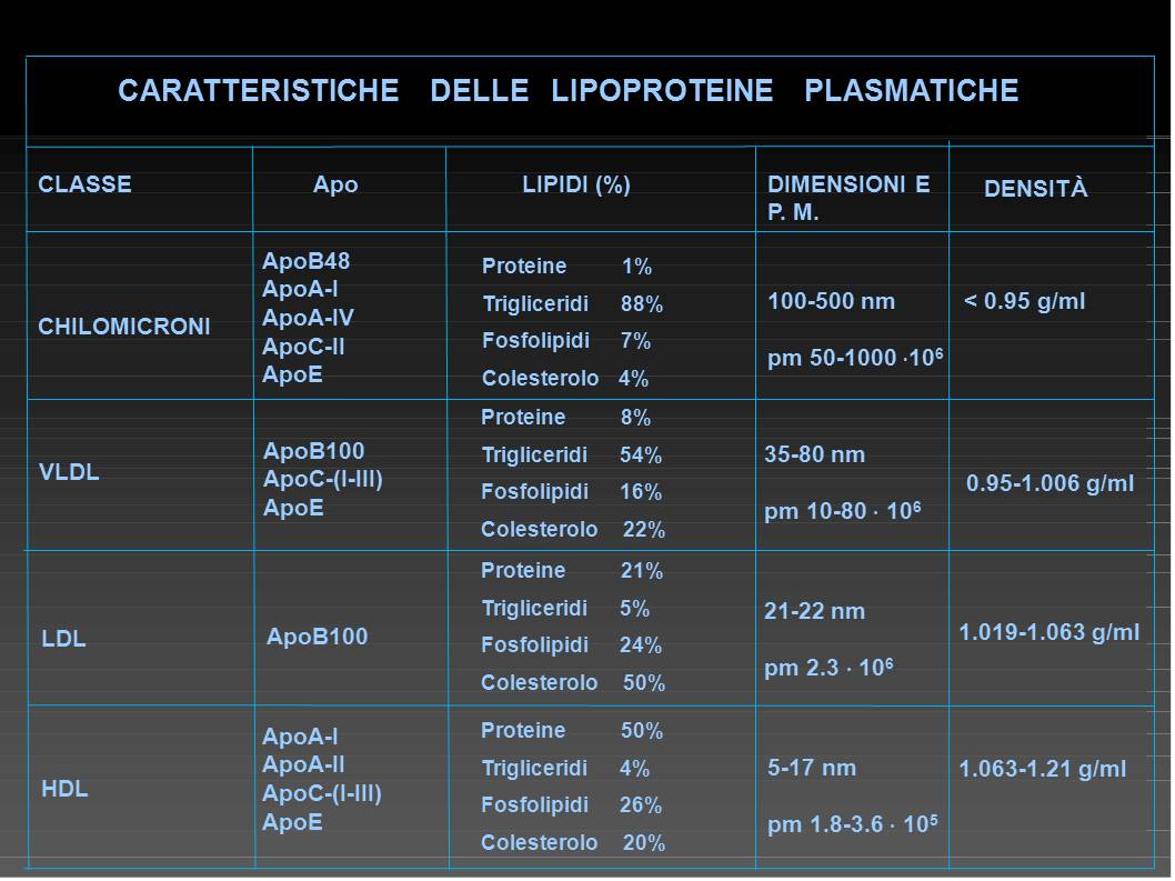 Lipoprotein