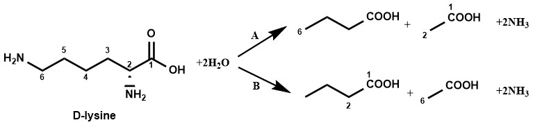 Lysine