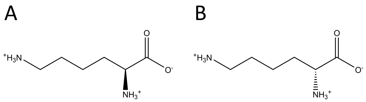 Lysine