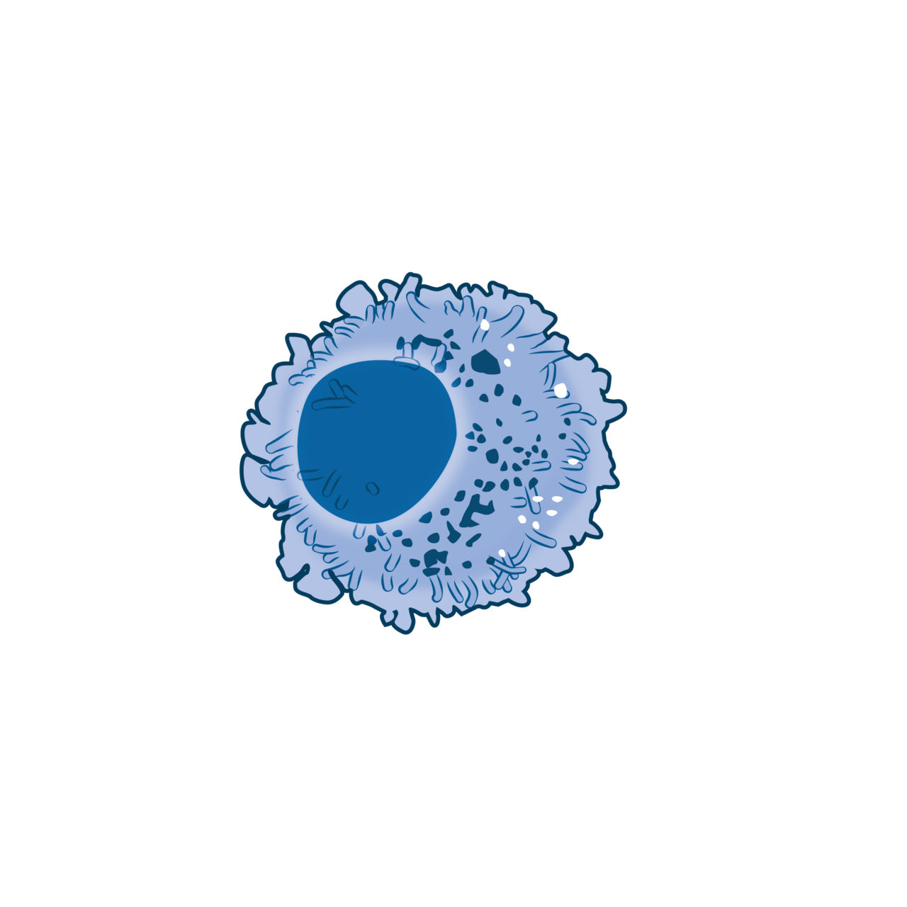 Mast cell