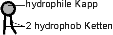 Phospholipid